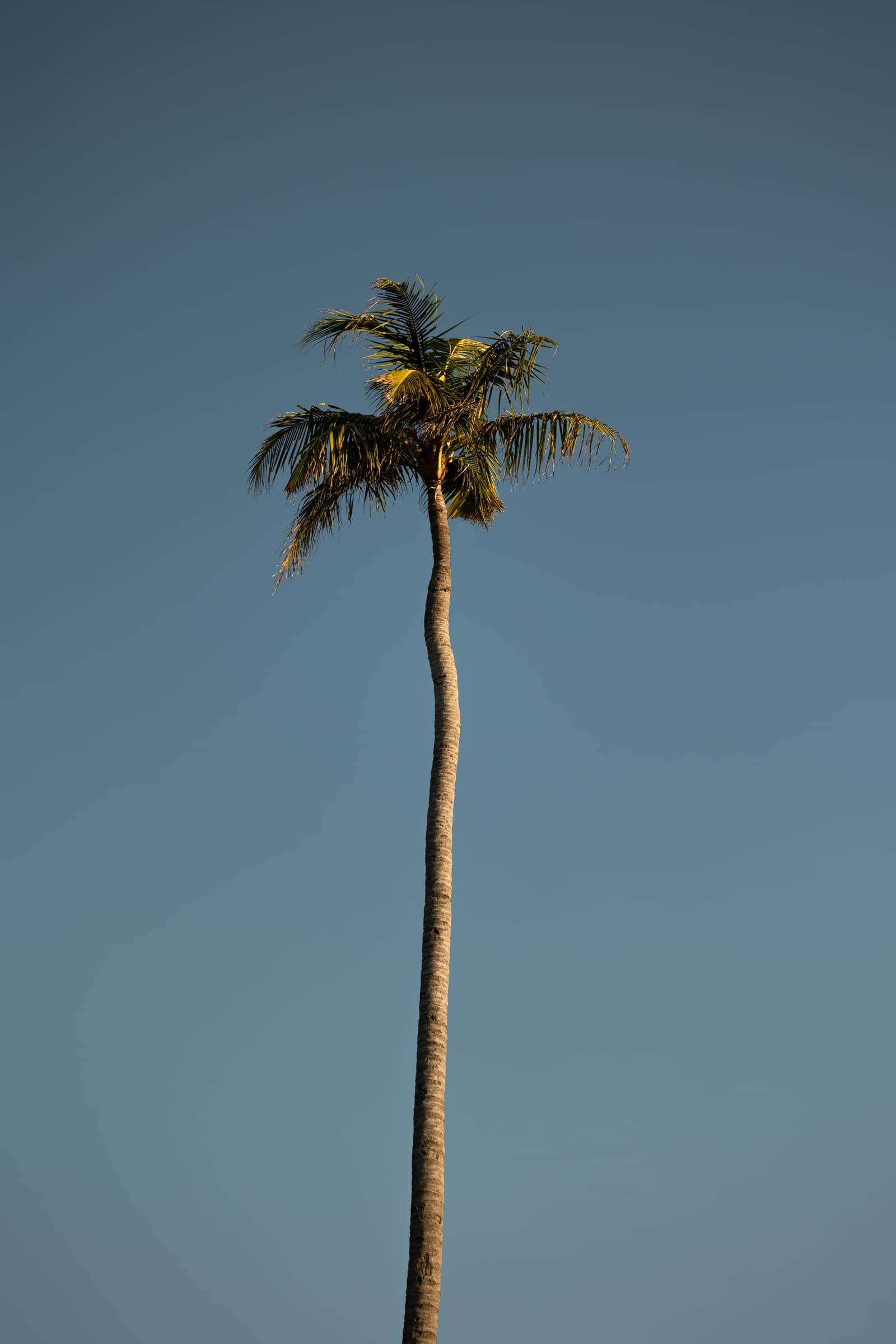 Sun Siyam Resorts