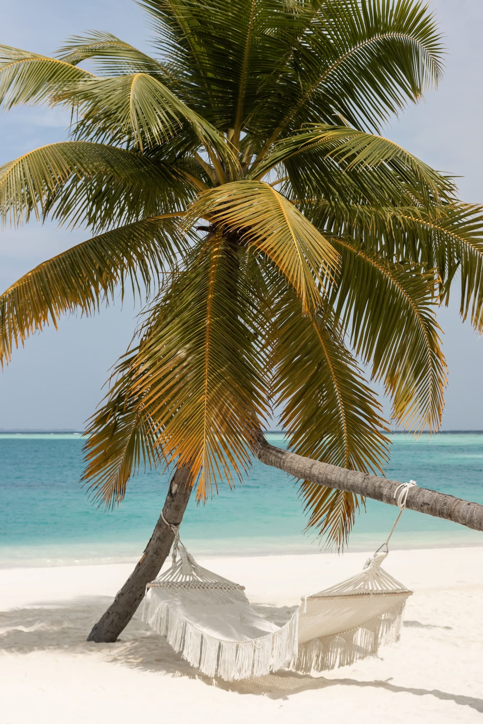 Sun Siyam Vilu Reef